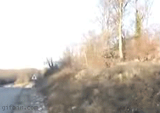 1243780725_soldiers-crossing.gif