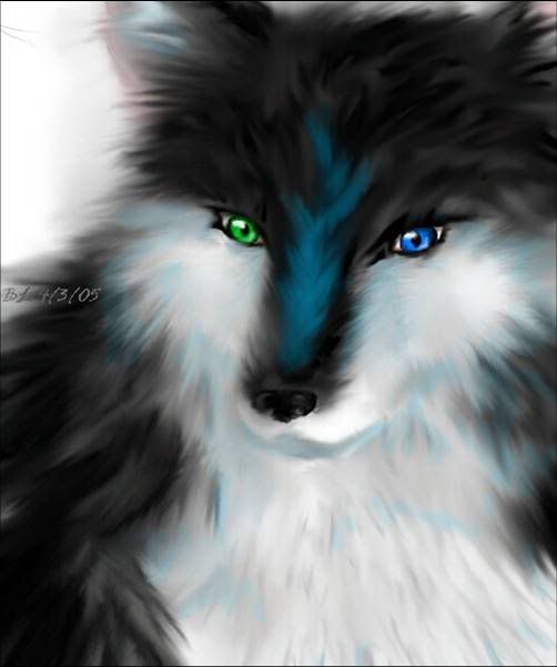 anime wolf Pictures, Images and Photos