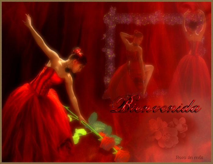 mensajesballetbienvenida.png picture by SELENE_ne