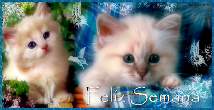 mensajesfelizsemana.png picture by SELENE_ne