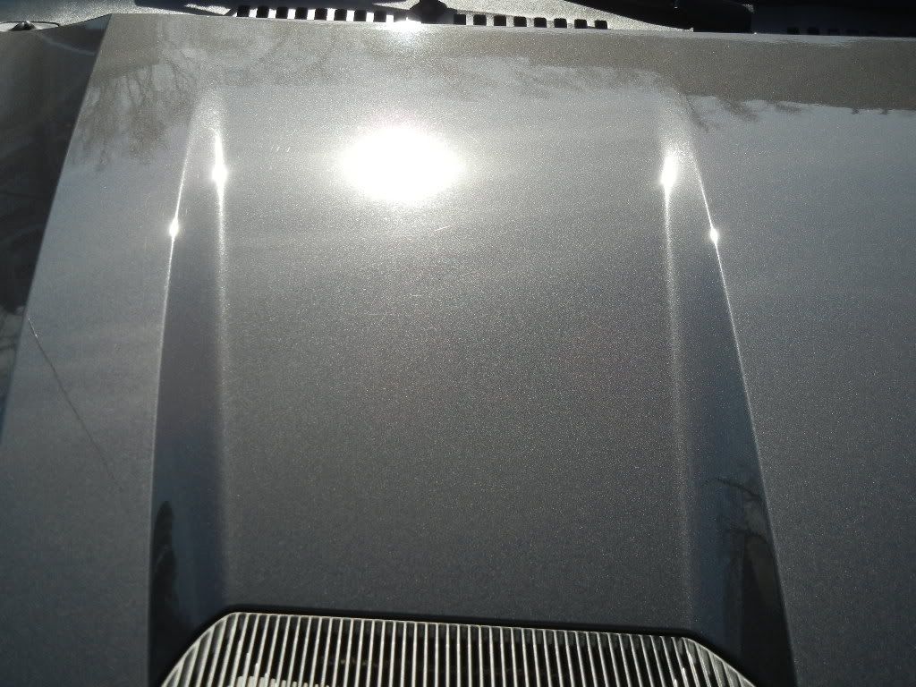 DSCN1559.jpg