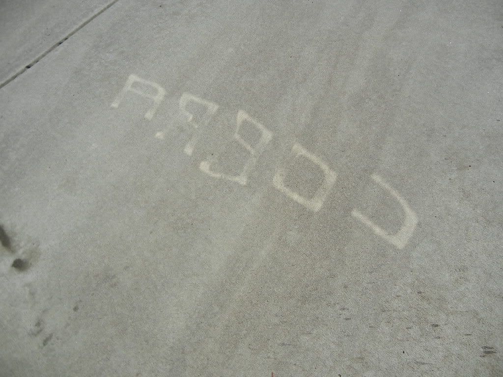 DSCN1561.jpg