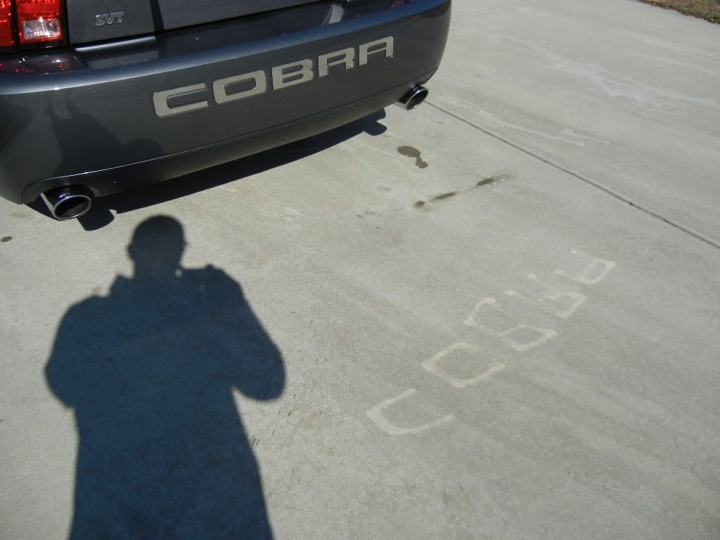 DSCN1562.jpg