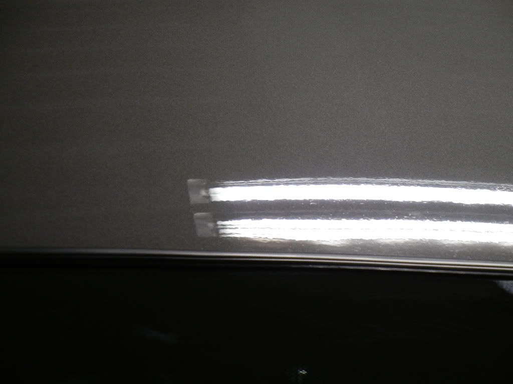DSCN1593.jpg