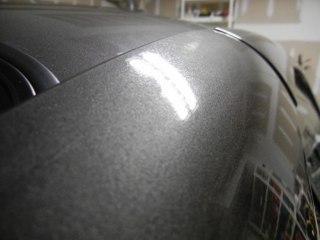 DSCN1598.jpg