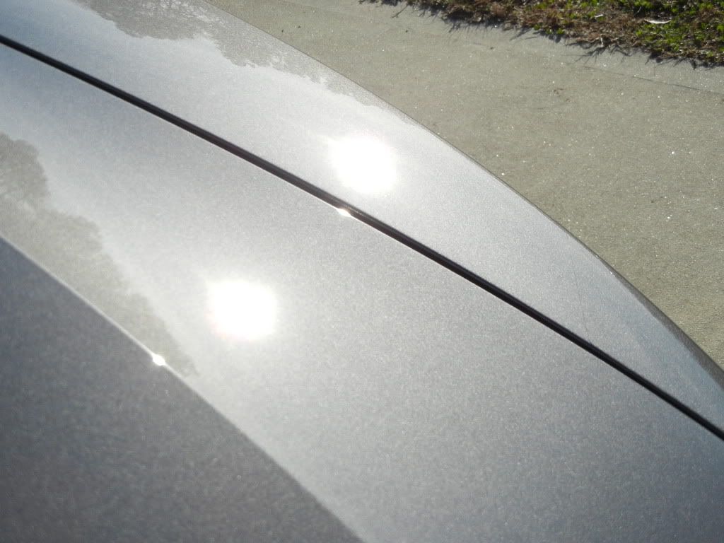 DSCN1610.jpg