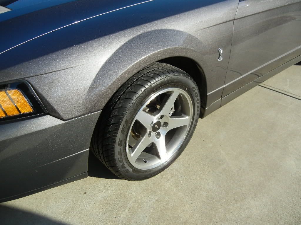 DSCN1612.jpg