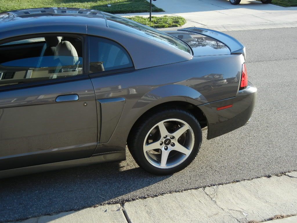 DSCN1616.jpg