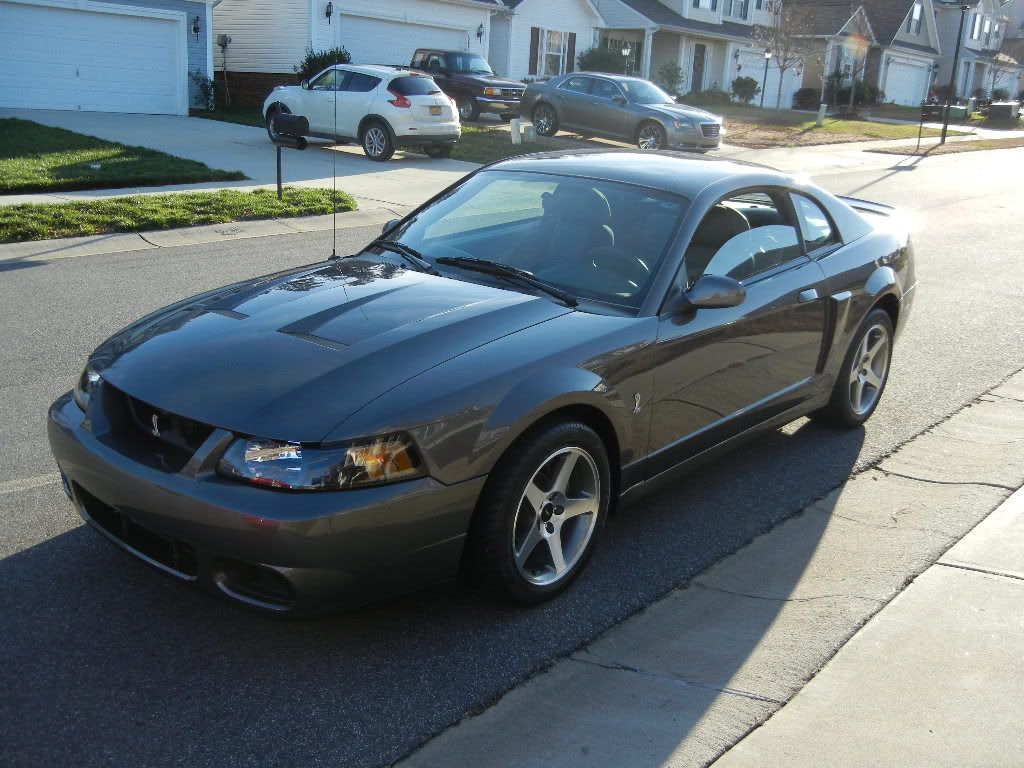 DSCN1617.jpg