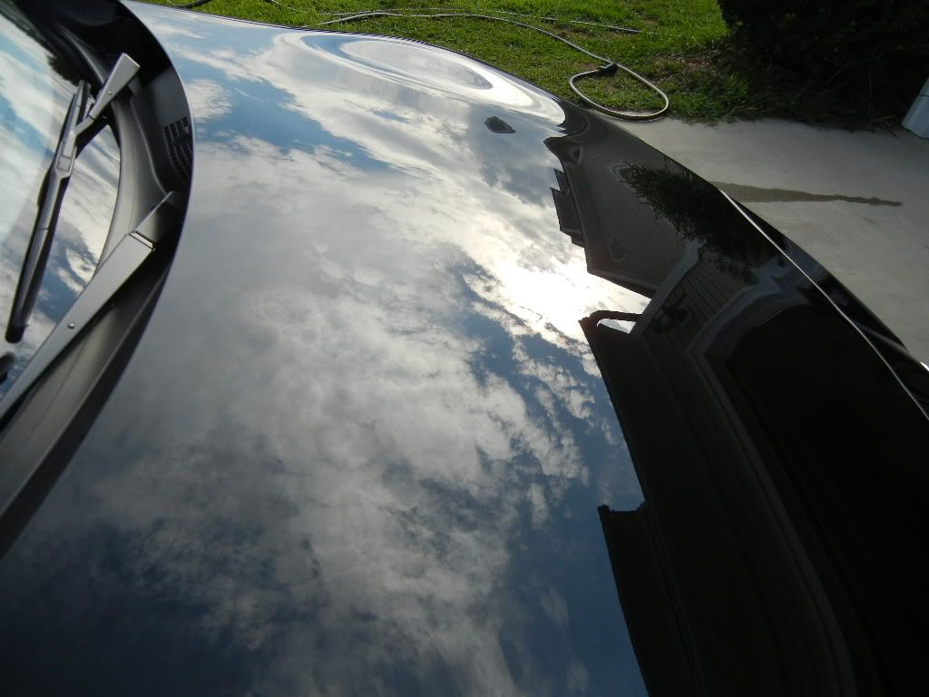 DSCN2391.jpg