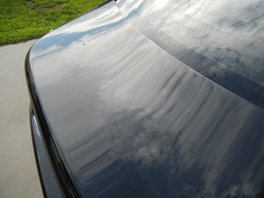 DSCN2395.jpg