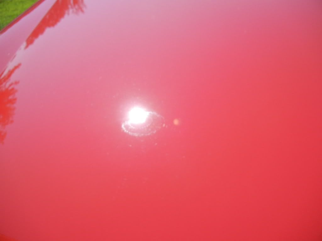 DSCN2440.jpg