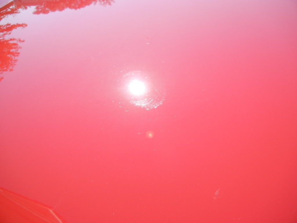 DSCN2441.jpg