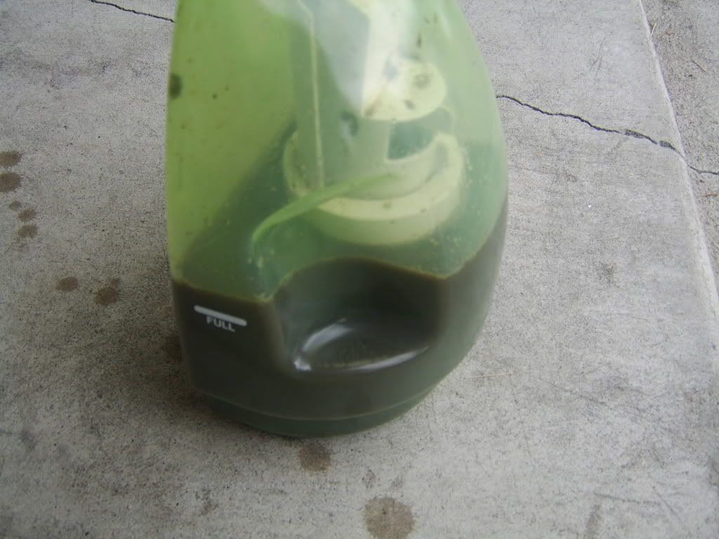 STA73112.jpg