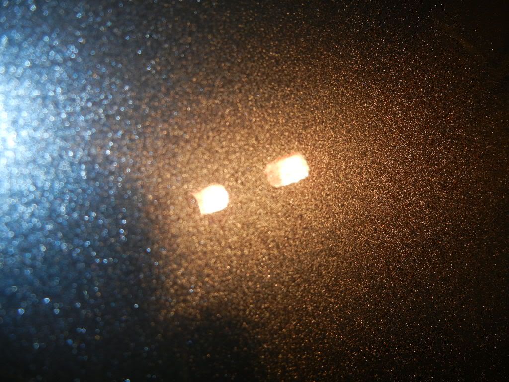 DSCN2230.jpg