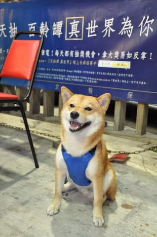 賤胚幫人趴心不趴(原發表者:感冒拔)(相簿)