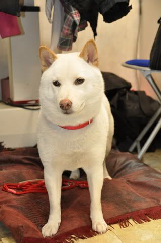 感冒今日來做客(原發表者:感冒拔)(相簿)