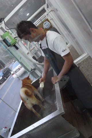 0307賤胚幫自助洗柴趴(原發表者:感冒拔)(相簿)