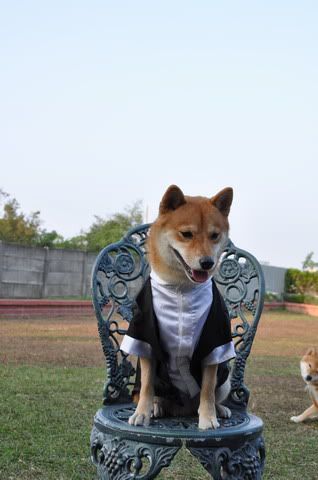 全方位藝柴~感冒(原發表者:感冒拔)(相簿)