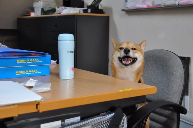 感冒攝影株式會社(原發表者:感冒拔)(相簿)