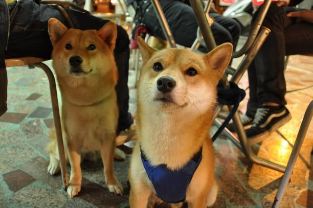 0123台南幫美食團再出動(原發表者:感冒拔)(相簿)