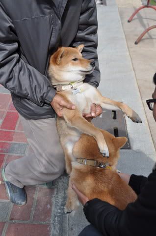 0124台南幫豪哥新居落成~柴聚一堂(原發表者:感冒拔)(相簿)