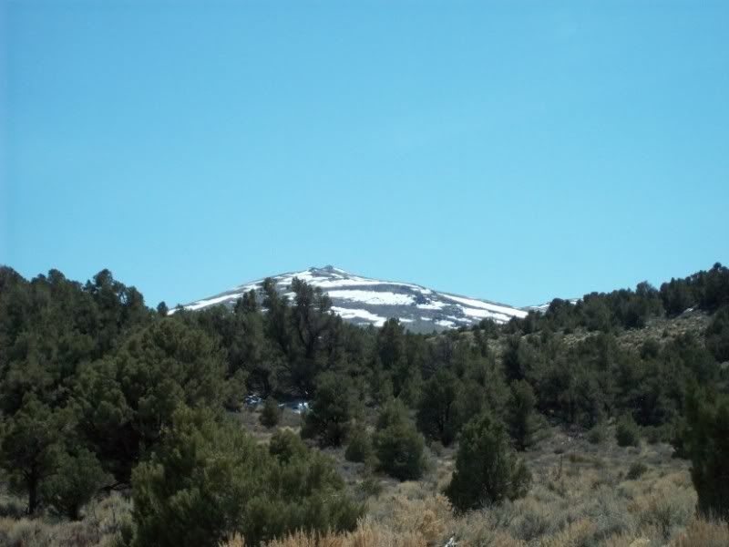 BB40-BALDMOUNTAIN.jpg