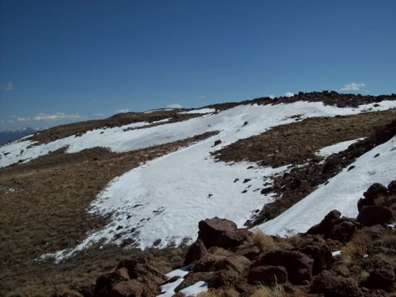 BB46-THEALLSUMMERSNOW.jpg