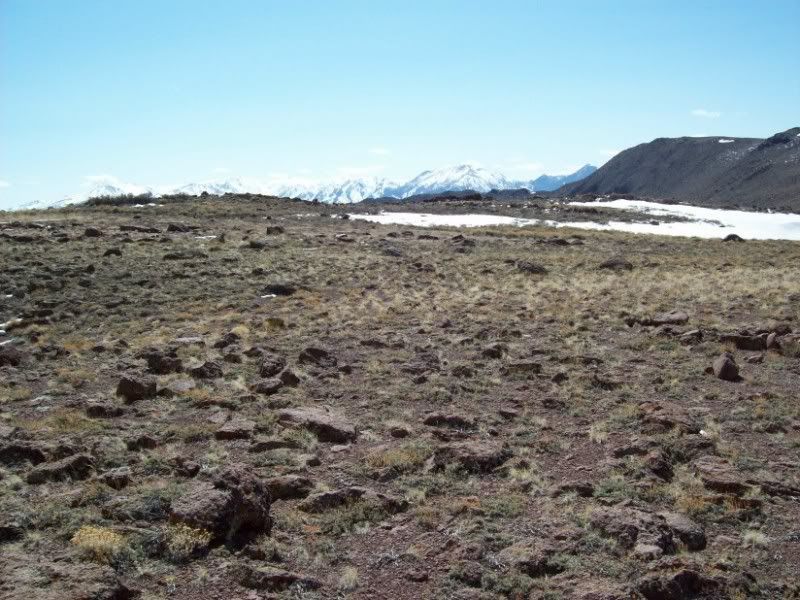 BB48-SIERRASINCALIFORNIA.jpg