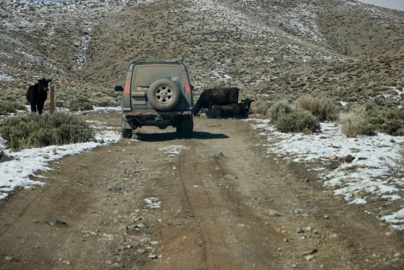 DSC_3689.jpg