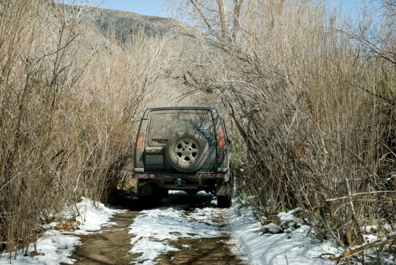 DSC_3713.jpg
