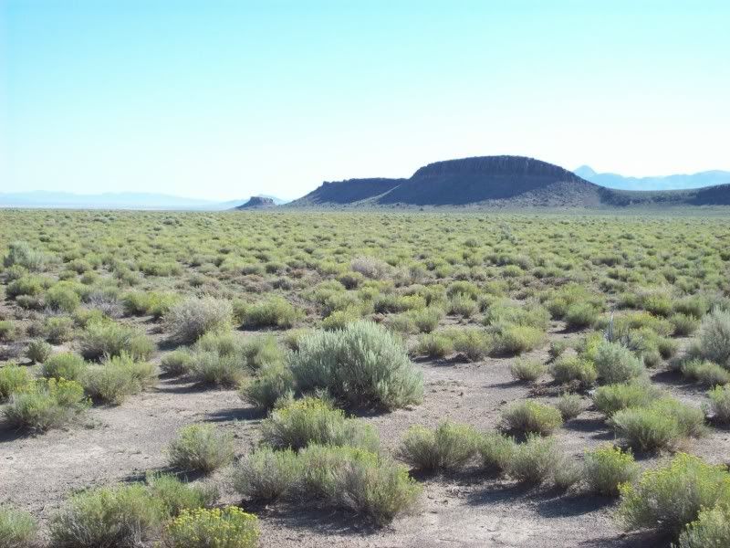 A022-LITTLE-LUNAR-CUESTA.jpg