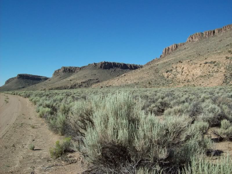 A024-PALISADE.jpg