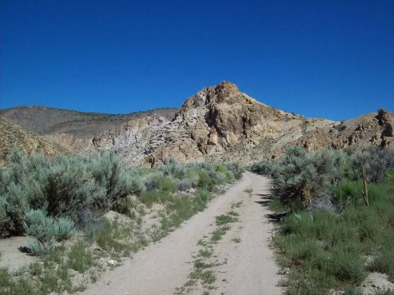 A034-NEAR-PATS-SPRINGS.jpg