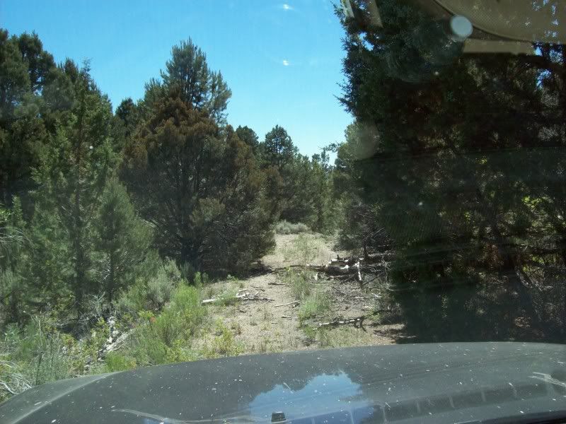 A048-.jpg