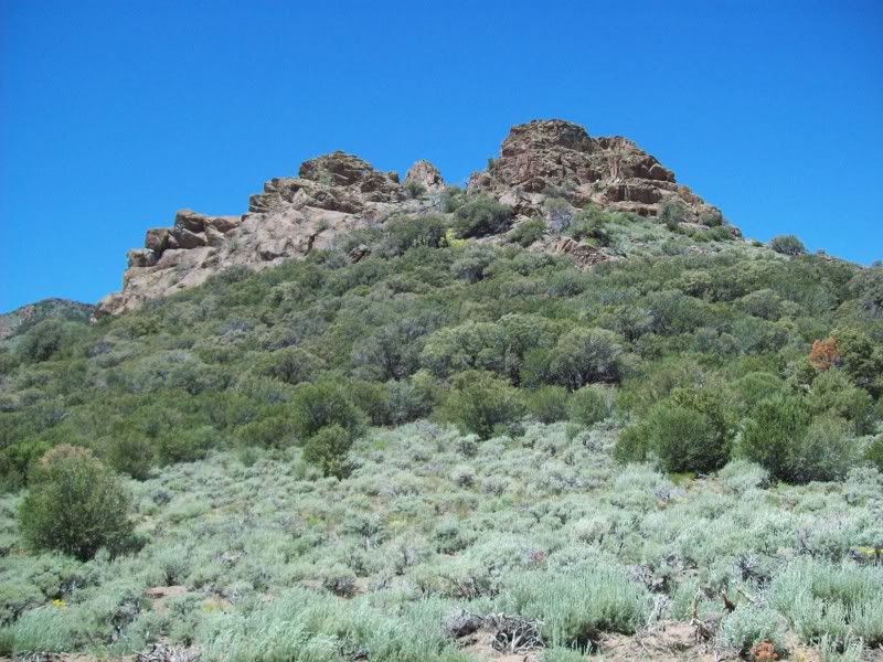 A058-DOBBIN-SUMMIT.jpg
