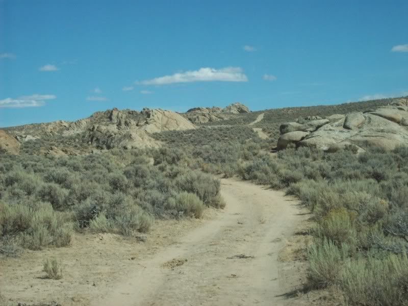 BR14-NEARINGEAGLEHEAD.jpg