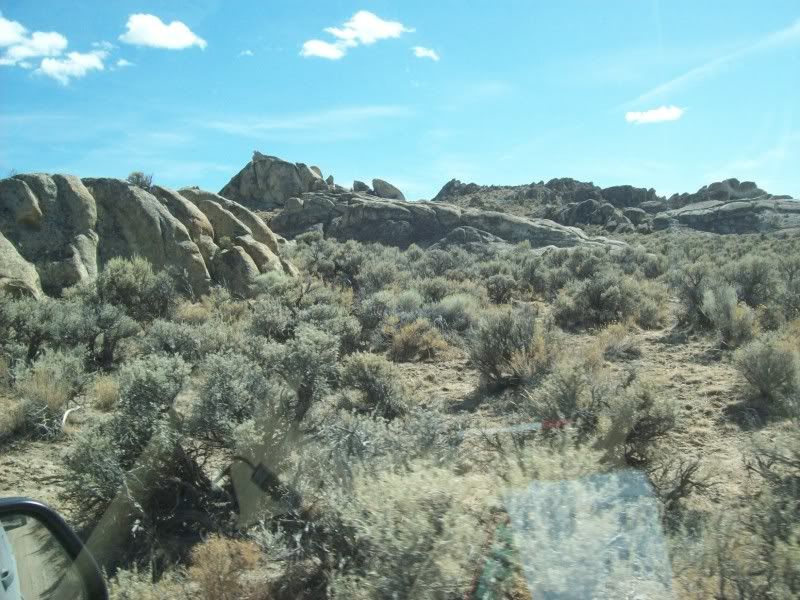 BR15-ROCK-N-ROCKS.jpg