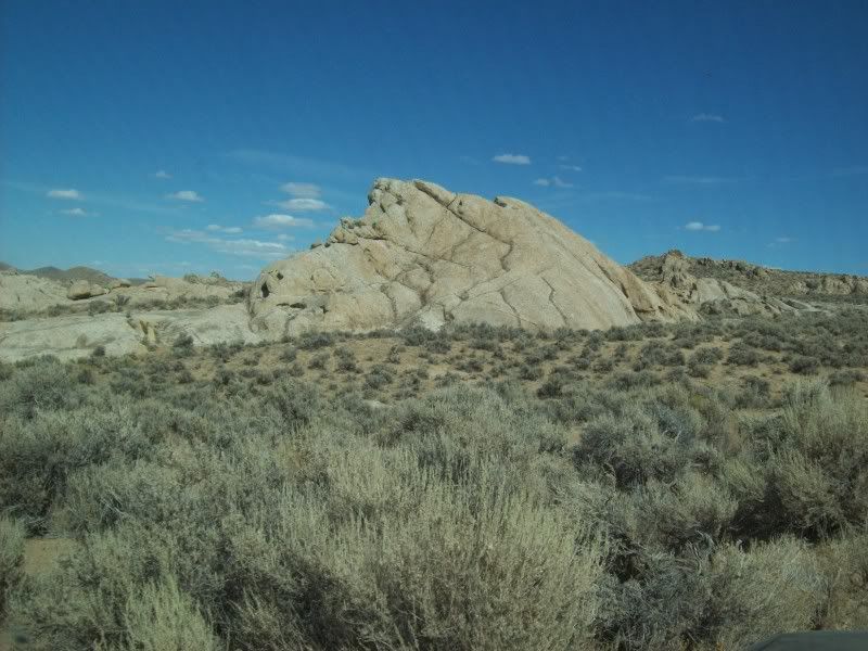 BR16-EAGLEHEAD.jpg