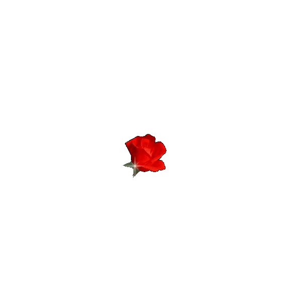 flowers-65.gif