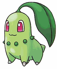 Chikorita Pictures, Images and Photos