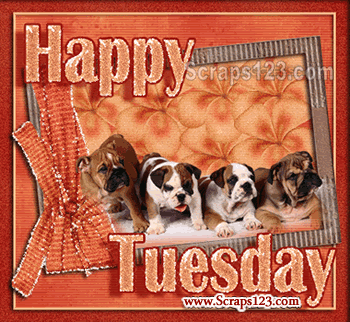 Wishing You a Happy Tuesday Image - 2