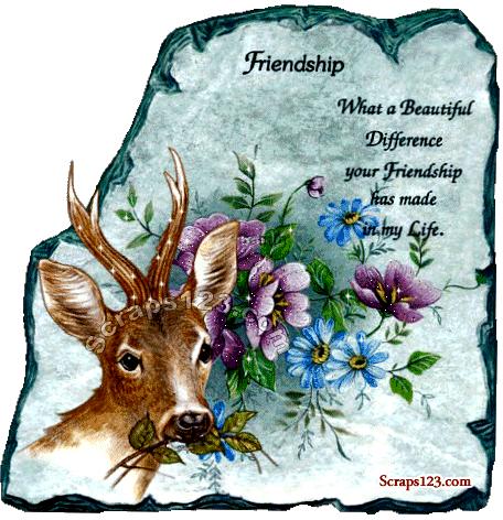 Friendship  Image - 4