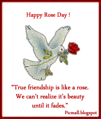 Happy Rose Day Image - 5