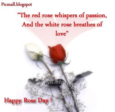 Happy Rose Day Image - 3