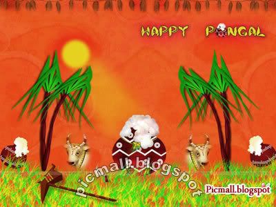 Happy Pongal  Image - 1