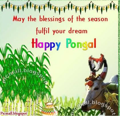 Happy Pongal  Image - 4