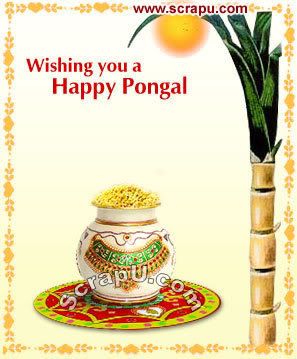 Happy-Pongal Graphics 