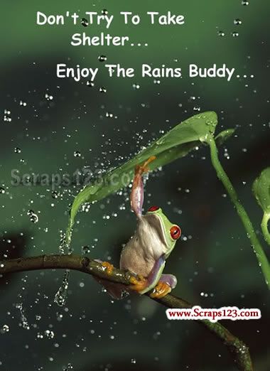 Romancing in Rains  Image - 4