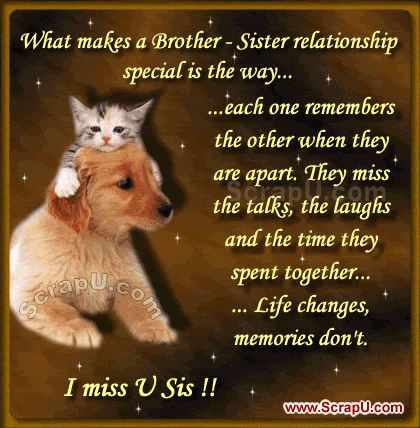Miss You Sister Comments 
